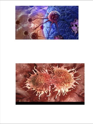 Prepared by:Zahraa Mohammed