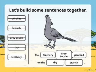 Understanding Nouns, Verbs, Adjectives with South African Animal ...