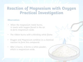 Reaction of Magnesium with Oxygen
Practical Investigation
• When the magnesium metal burns,
it reacts with oxygen found in the air
to form magnesium oxide.
Observation:
• After it burns, it forms a white powder,
which is magnesium oxide.
• Oxygen and Magnesium combine in a chemical
reaction to form this compound.
• The ribbon burns with a blinding white flame.
 