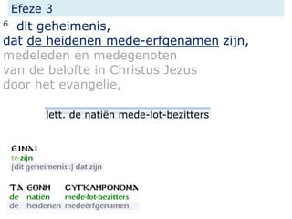 Efeze 3
6 dit geheimenis,
dat de heidenen mede-erfgenamen zijn,
medeleden en medegenoten
van de belofte in Christus Jezus
door het evangelie,
lett. de natiën mede-lot-bezitters
 