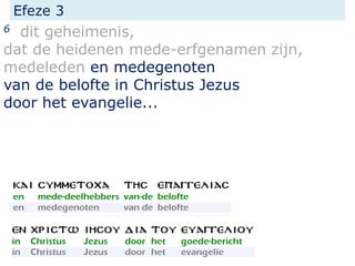 Efeze 3
6 dit geheimenis,
dat de heidenen mede-erfgenamen zijn,
medeleden en medegenoten
van de belofte in Christus Jezus
door het evangelie...
 