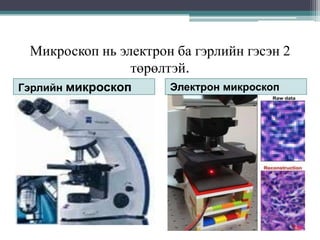 Микроскоп нь электрон ба гэрлийн гэсэн 2
төрөлтэй.
Гэрлийн микроскоп

Электрон микроскоп

 