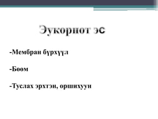 -Мембран бүрхүүл
-Бөөм
-Туслах эрхтэн, оршихуун

 
