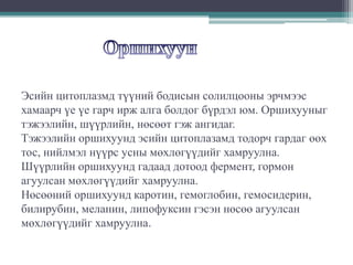Эсийн цитоплазмд түүний бодисын солилцооны эрчмээс
хамаарч үе үе гарч ирж алга болдог бүрдэл юм. Оршихууныг
тэжээлийн, шүүрлийн, нөсөөт гэж ангидаг.
Тэжээлийн оршихуунд эсийн цитоплазамд тодорч гардаг өөх
тос, нийлмэл нүүрс усны мөхлөгүүдийг хамруулна.
Шүүрлийн оршихуунд гадаад дотоод фермент, гормон
агуулсан мөхлөгүүдийг хамруулна.
Нөсөөний оршихуунд каротин, гемоглобин, гемосидерин,
билирубин, меланин, липофуксин гэсэн нөсөө агуулсан
мөхлөгүүдийг хамруулна.

 