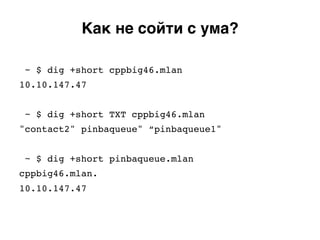 ~ $ dig +short cppbig46.mlan!
10.10.147.47!
!
~ $ dig +short TXT cppbig46.mlan!
"contact2" pinbaqueue" “pinbaqueue1"!
!
~ $ dig +short pinbaqueue.mlan!
cppbig46.mlan.!
10.10.147.47!
Как не сойти с ума?.
 
