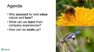 Agenda 
• Why account for and value 
nature and how? 
• What can we learn from 
company experiences? 
• How can we scale up? 
 