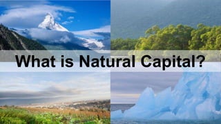What is Natural Capital? 
 