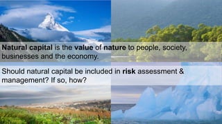 Natural capital is the value of nature to people, society, 
businesses and the economy. 
Should natural capital be included in risk assessment & 
management? If so, how? 
 