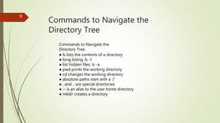 Commands to Navigate the
Directory Tree
9
Commands to Navigate the
Directory Tree
● ls lists the contents of a directory
● long listing: ls -l
● list hidden files: ls -a
● pwd prints the working directory
● cd changes the working directory
● absolute paths start with a '/'
● . and .. are special directories
● ~ is an alias to the user home directory
● mkdir creates a directory
 
