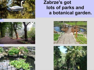 Zabrze's got  lots of parks and    a botanical garden. 