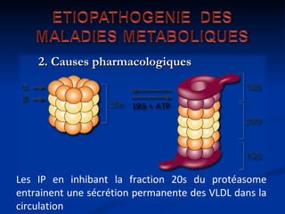 Les IP en inhibant la fraction 20s du protéasome entrainent une sécrétion permanente des VLDL dans la circulation 2. Causes pharmacologiques 