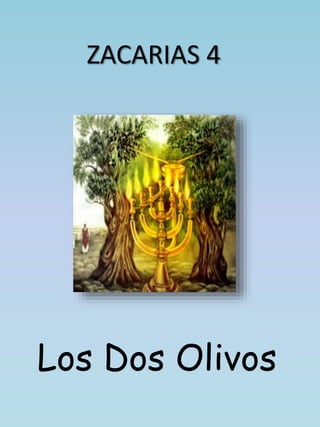 ZACARIAS 4 
Los Dos Olivos 
 