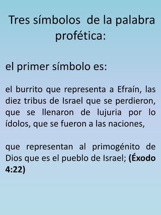 Tres símbolos de la palabra 
profética: 
el primer símbolo es: 
el burrito que representa a Efraín, las 
diez tribus de Israel que se perdieron, 
que se llenaron de lujuria por lo 
ídolos, que se fueron a las naciones, 
que representan al primogénito de 
Dios que es el pueblo de Israel; (Éxodo 
4:22) 
 