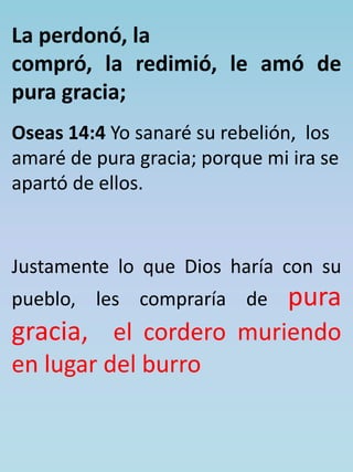 La perdonó, la 
compró, la redimió, le amó de 
pura gracia; 
Oseas 14:4 Yo sanaré su rebelión, los 
amaré de pura gracia; porque mi ira se 
apartó de ellos. 
Justamente lo que Dios haría con su 
pueblo, les compraría de pura 
gracia, el cordero muriendo 
en lugar del burro 
 