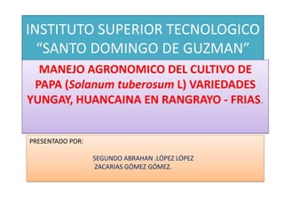 INSTITUTO SUPERIOR TECNOLOGICO“SANTO DOMINGO DE GUZMAN” MANEJO AGRONOMICO DEL CULTIVO DE  PAPA (Solanumtuberosum L) VARIEDADES YUNGAY, HUANCAINA EN RANGRAYO - FRIAS. PRESENTADO POR:                                          SEGUNDO ABRAHAN .LÓPEZ LÓPEZ                                         ZACARIAS GÓMEZ GÓMEZ. 