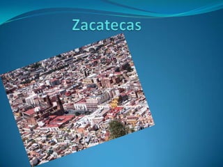 Zacatecas 