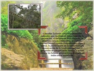 
Cascadas Tulimán conjunta elementos
naturales que facilitan el esparcimiento, la
recreación, el turismo de bajo impacto, la
aventura extrema sostenible, la ecología
(santuario y refugio de vida silvestre : flora y
fauna), la preservación de la naturaleza y la
conservación de la biodiversidad, con el
propósito de garantizarles tanto a la actual
como a las futuras generaciones disfrutar de
todos estos beneficios.
 