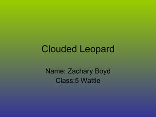 Clouded Leopard Name: Zachary Boyd Class:5 Wattle 