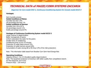 Corn - Maize presentation - Zaccaria By Multigrain | PPTX