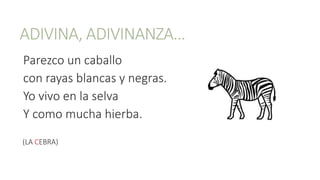 ADIVINA, ADIVINANZA…
Parezco un caballo
con rayas blancas y negras.
Yo vivo en la selva
Y como mucha hierba.
(LA CEBRA)
 