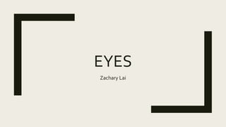 EYES
Zachary Lai
 