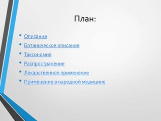 План:
• Описание
• Ботаническое описание
• Таксономия
• Распространение
• Лекарственное применение
• Применение в народной медицине
 