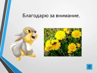 Благодарю за внимание.
 