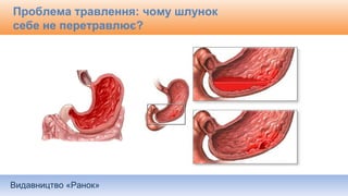Видавництво «Ранок»
Проблема травлення: чому шлунок
себе не перетравлює?
 