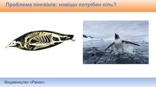 Видавництво «Ранок»
Проблема пінгвінів: навіщо потрібен кіль?
 