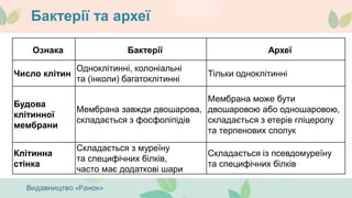 Бактерії та археї
Ознака Бактерії Археї
Число клітин
Одноклітинні, колоніальні
та (інколи) багатоклітинні
Тільки одноклітинні
Будова
клітинної
мембрани
Мембрана завжди двошарова,
складається з фосфоліпідів
Мембрана може бути
двошаровою або одношаровою,
складається з етерів гліцеролу
та терпенових сполук
Клітинна
стінка
Складається з муреїну
та специфічних білків,
часто має додаткові шари
Складається із псевдомуреїну
та специфічних білків
 