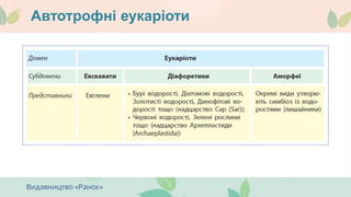 Автотрофні еукаріоти
 