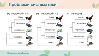 Проблеми систематики
морфологія - 1 морфологія - 2 молекули
птахи птахиптахи
крокодили крокодили крокодили
черепахилепідозаврилепідозаври
черепахи черепахи лепідозаври
ссавці ссавці ссавці
 