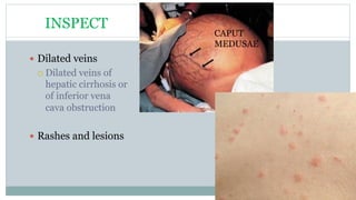 Abdomen history and physical examination.pdf