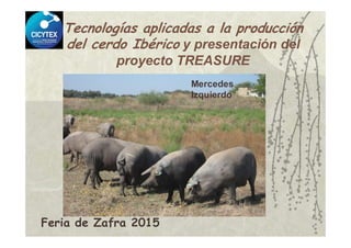 Tecnologías aplicadas a la producción
del cerdo Ibérico y presentación del
proyecto TREASURE
Mercedes
Izquierdo
Feria de Zafra 2015
 