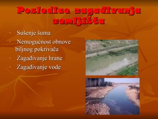 Posledice zagađivanja zemljišta Sušenje šuma N emogućnost obnove  biljnog pokrivača Z agađivanje hrane Z agađivanje vode 