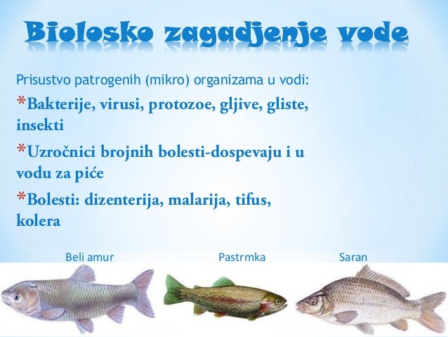Zagadjenost i zastita vode [Ekologija-Biologija] Masinska skola Pance…