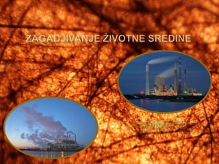 Zagadjivanje životne sredine