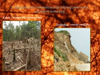 Uzrok – kompletno isječene šume

                                  Posljedica – erozija zemljišta
 
