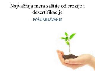 Najvažnija mera zaštite od erozije i
dezertifikacije
POŠUMLJAVANJE
 