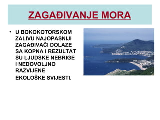 ZAGAĐIVANJE MORA
• U BOKOKOTORSKOM
ZALIVU NAJOPASNIJI
ZAGAĐIVAČI DOLAZE
SA KOPNA I REZULTAT
SU LJUDSKE NEBRIGE
I NEDOVOLJNO
RAZVIJENE
EKOLOŠKE SVIJESTI.
 