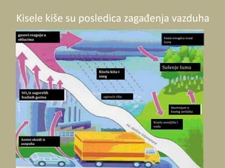 Kisele kiše su posledica zagađenja vazduha
gasovi reaguju u
oblacima
SO2 iz sagorelih
fosilnih goriva
Azotni oksidi iz
auspuha
uginuće riba
Kisela kiša i
sneg
Kisela izmaglica iznad
šuma
Sušenje šuma
Kiselo zemljište i
voda
Aluminijum iz
kiselog zemljišta
 