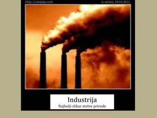 Industrija
Najbolji slikar mrtve prirode
 