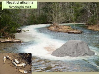 Negativi uticaj na
životinjski svet
 