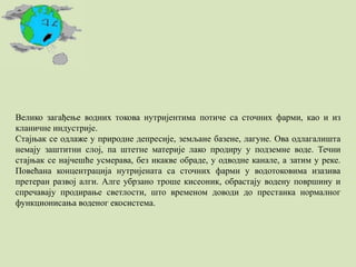 Велико загађење водних токова нутријентима потиче са сточних фарми, као и из
кланичне индустрије.
Стајњак се одлаже у природне депресије, земљане базене, лагуне. Ова одлагалишта
немају заштитни слој, па штетне материје лако продиру у подземне воде. Течни
стајњак се најчешће усмерава, без икакве обраде, у одводне канале, а затим у реке.
Повећана концентрација нутријената са сточних фарми у водотоковима изазива
претеран развој алги. Алге убрзано троше кисеоник, обрастају водену површину и
спречавају продирање светлости, што временом доводи до престанка нормалног
функционисања воденог екосистема.
 