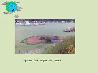 Рукавац Саве – август 2019. године
 
