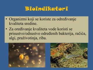 Bioindikatori
• Organizmi koji se koriste za određivanje
kvaliteta sredine.
• Za oređivanje kvaliteta vode koristi se
prisustvo/odsustvo određenih bakterija, račića,
algi, praživotinja, riba.
 