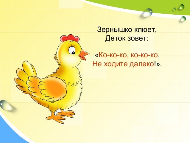 Ко ко ко не ходите далеко