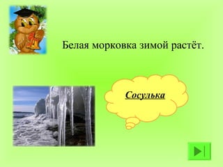 Белая морковка зимой растёт.



            Сосулька
 