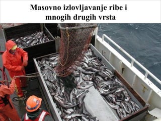 Masovno izlovljavanje ribe i
mnogih drugih vrsta
 