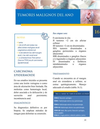 Sus etapas son:

                                         0 carcinoma in situ
                                         II tumores <2 cm sin afectar
                                         esfínter
                                         III tumores >2 cm no diseminados
                                         IIIA tumores diseminados a
                                         ganglios perirectales u órganos
                                         adyacentes
                                         IIIB diseminados a ganglios iliacos
                                         y/o inguinales u órganos adyacentes
                                         IV diseminados a linfáticos
                                         intrabdominales      u      órganos
                                         adyacentes




                                         Cuando se encuentra en el margen
En sus estadios iniciales se presenta    anal sin extenderse a esfínter, se
como una lesión verrugosa o como         extrae quirúrgicamente. Manejo
área de ulceración bien limitada. Da     adecuado al estadio (tabla 16.1).
molestias como hemorragia local,
dolor asociado a la defecación y de
secreción      anal       persistente;
incontinencia anal.



Su diagnostico definitivo es por
biopsia. Se emplean métodos de
imagen para delimitar su extensión.

                                                                          23
 